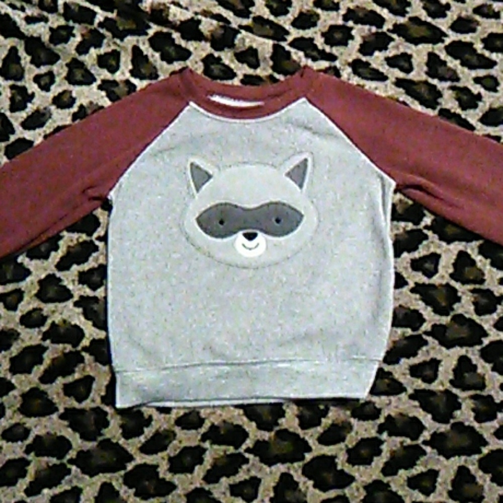 Super Soft and Warm Raccoon Sweatshirt 12 Months